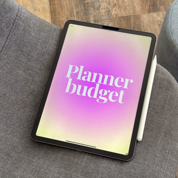 Planner Budget - Image 16