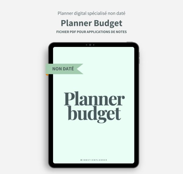 Planner Budget - Image 3